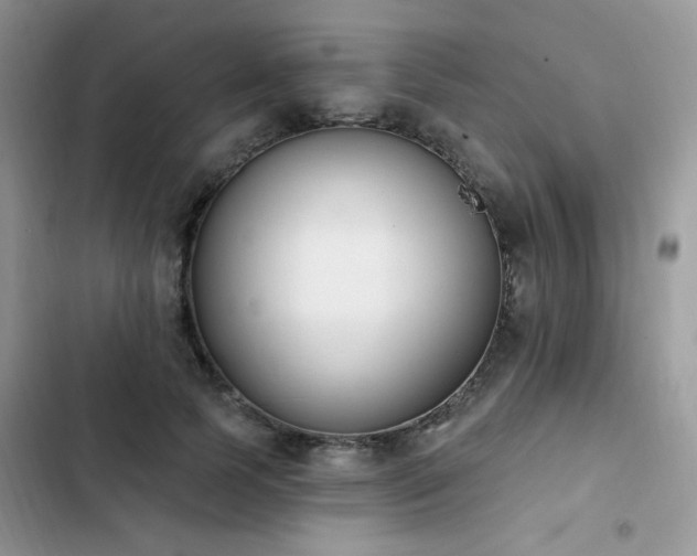 X0000103230745200808281430