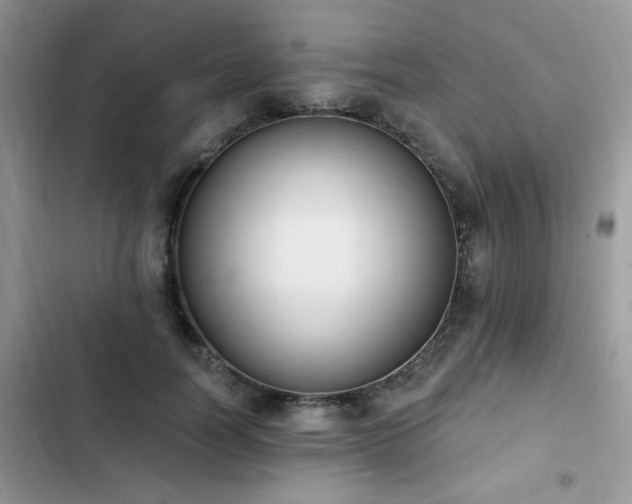 X0000103230746200808281430