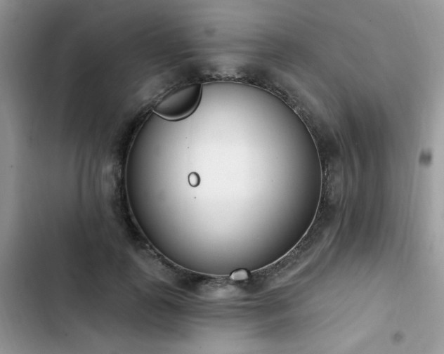 X0000103230747200808281430