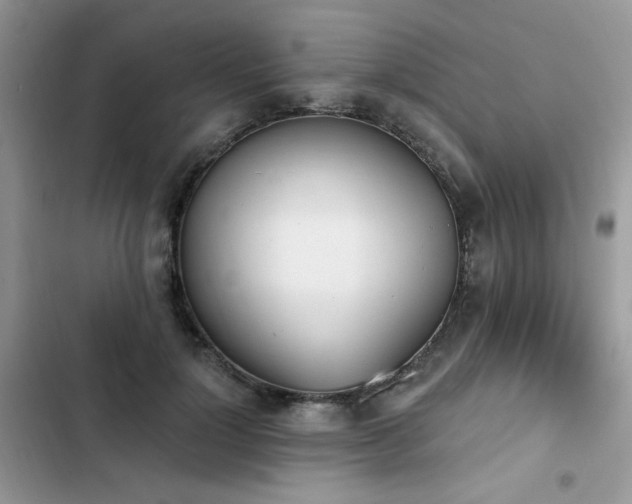 X0000103230748200808281430