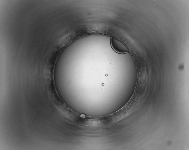 X0000103230749200808281430
