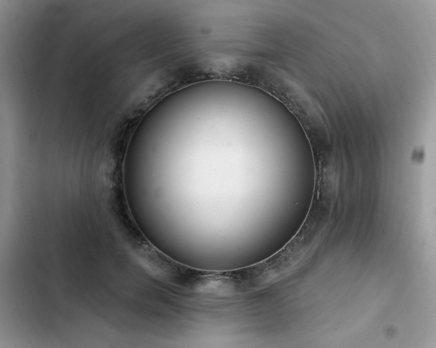 X0000103230750200808281430