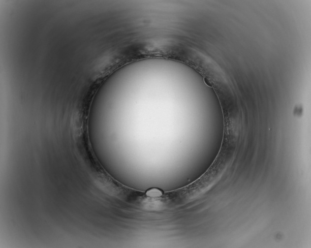 X0000103230751200808281430