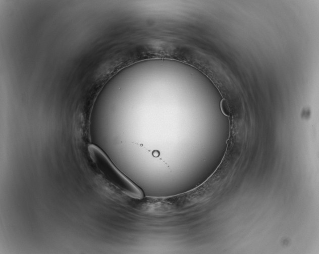 X0000103230752200808281430