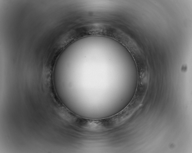 X0000103230753200808281430