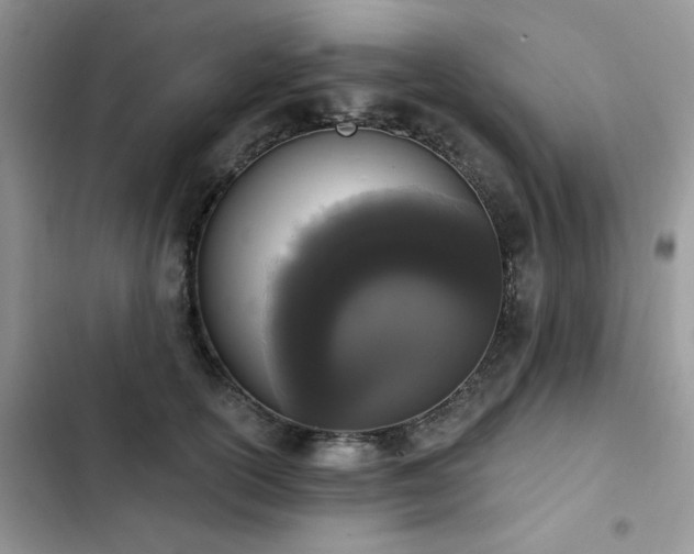 X0000103230754200808281430