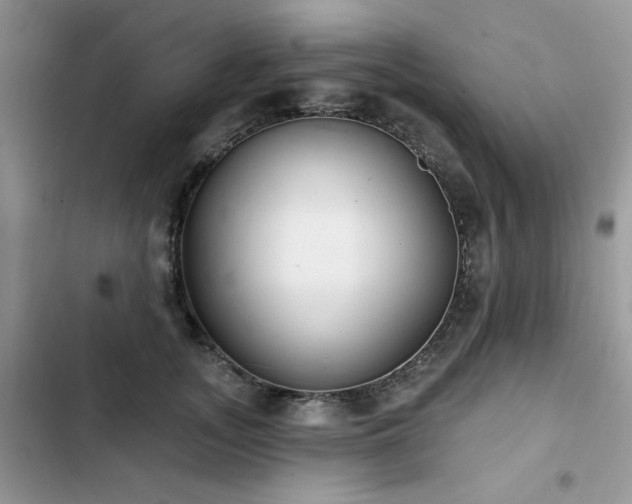 X0000103230755200808281430
