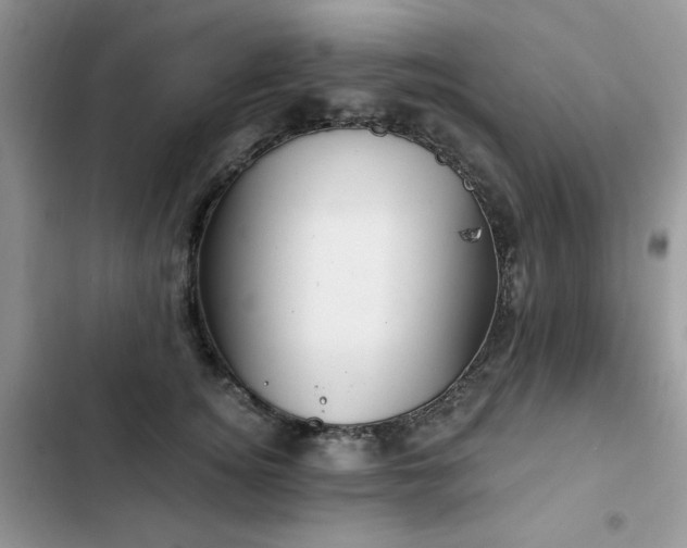 X0000103230756200808281430