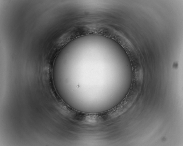 X0000103230757200808281430
