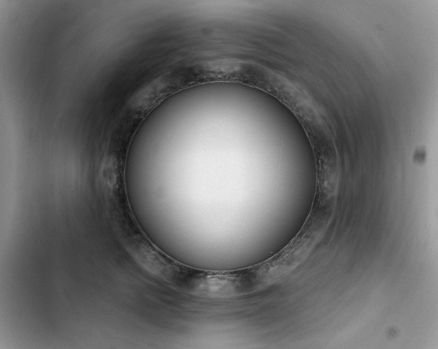 X0000103230758200808281430