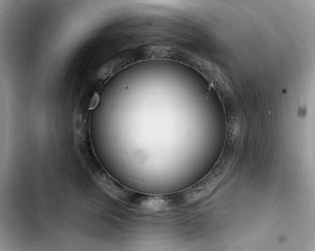 X0000103230759200808281430