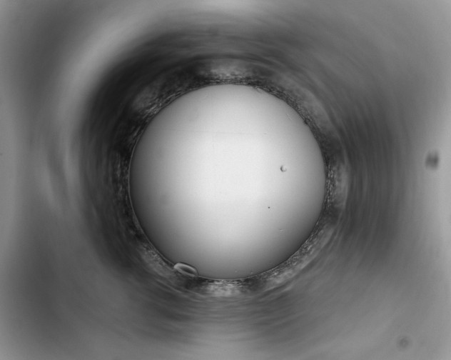 X0000103230762200808281430