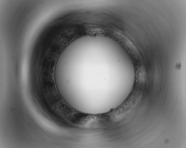 X0000103230764200808281430