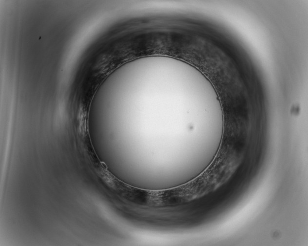 X0000103230766200808281430