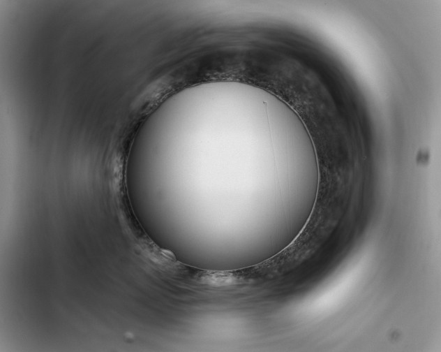 X0000103230767200808281430