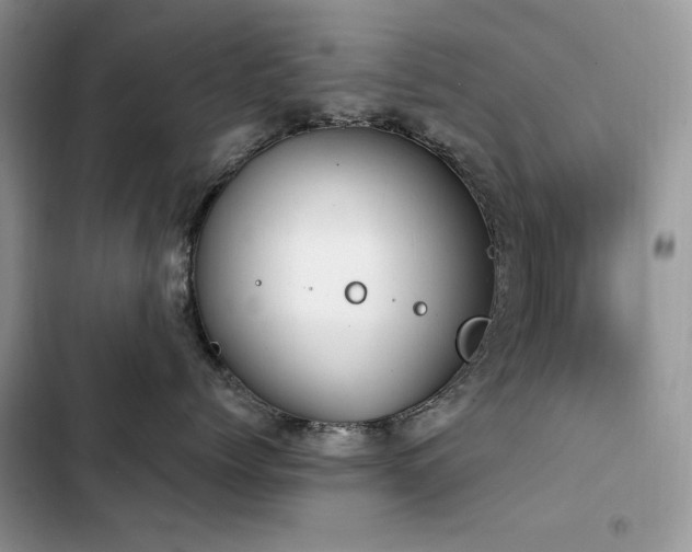 X0000103230768200808281430