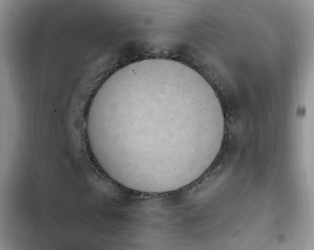 X0000103230769200808281430