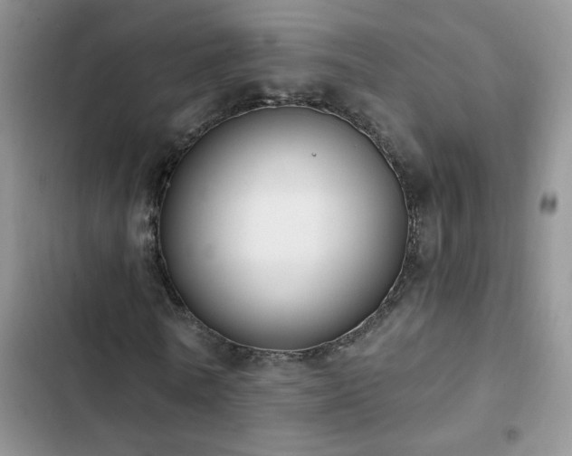 X0000103230770200808281430