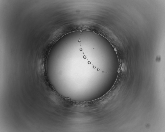 X0000103230771200808281430