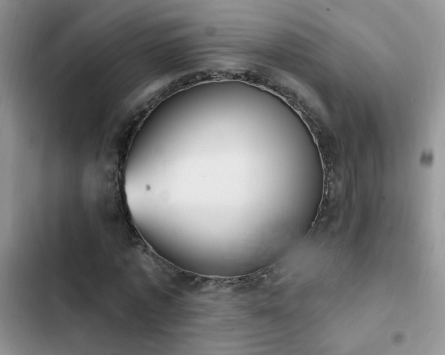 X0000103230773200808281430