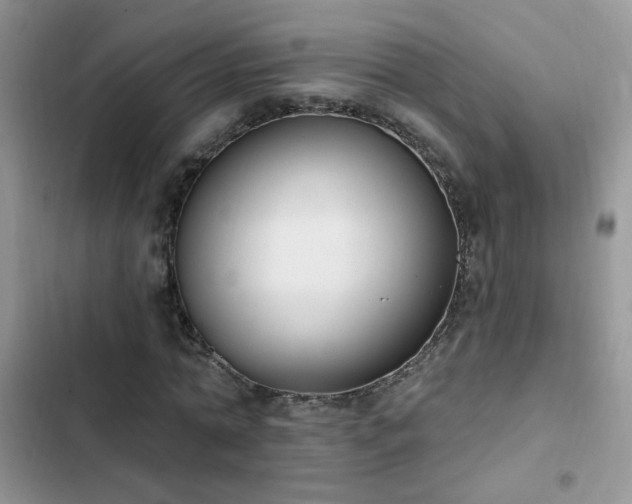 X0000103230774200808281430