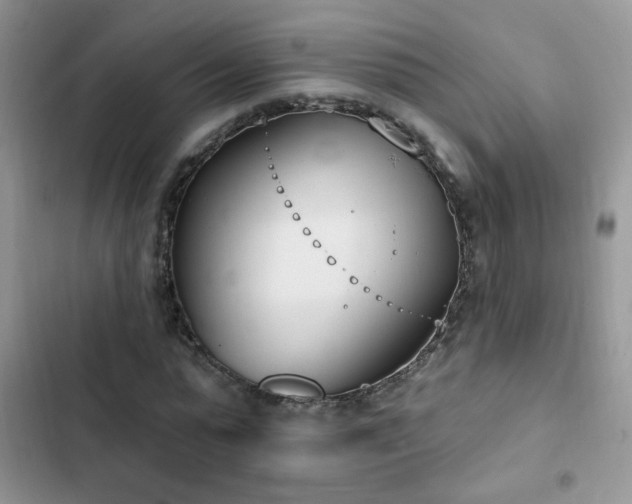 X0000103230775200808281430
