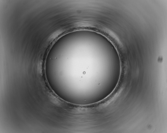 X0000103230777200808281430