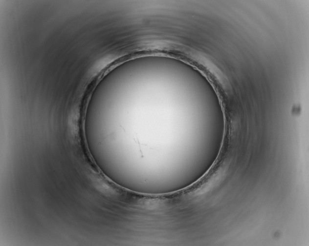 X0000103230778200808281430
