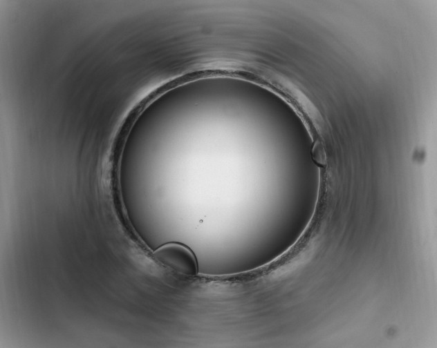 X0000103230779200808281430