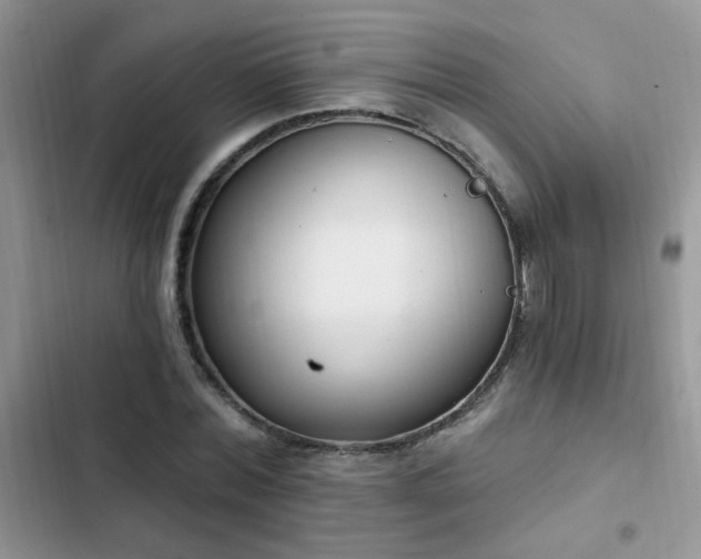 X0000103230780200808281430