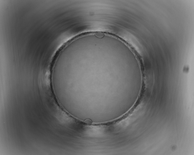 X0000103230781200808281430