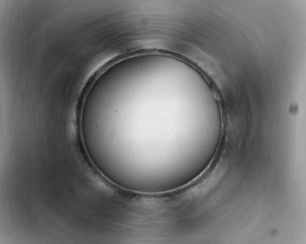X0000103230782200808281430