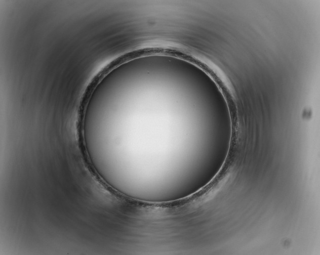X0000103230783200808281430