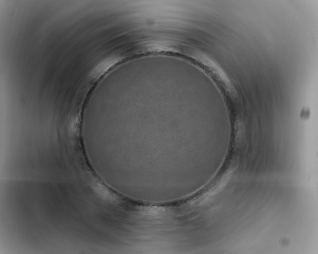 X0000103230785200808281430