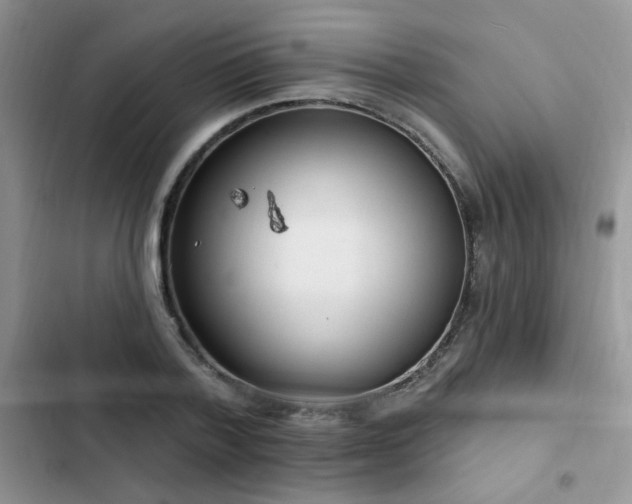 X0000103230788200808281430
