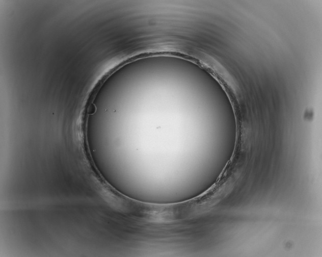X0000103230789200808281430