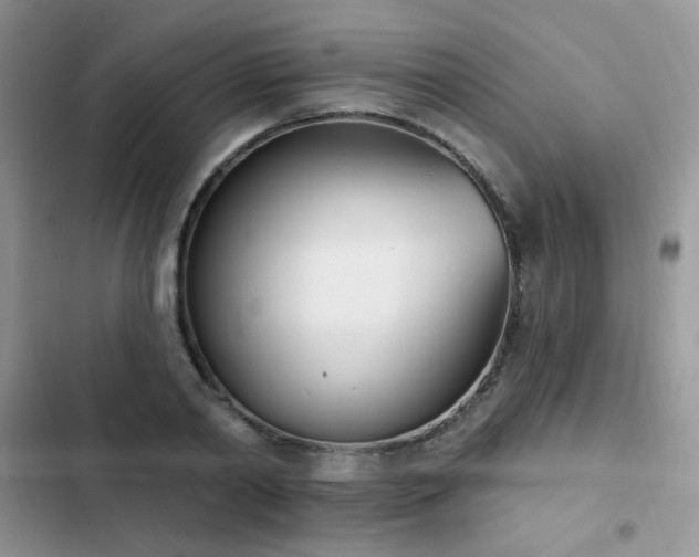 X0000103230790200808281429