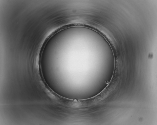 X0000103230791200808281429