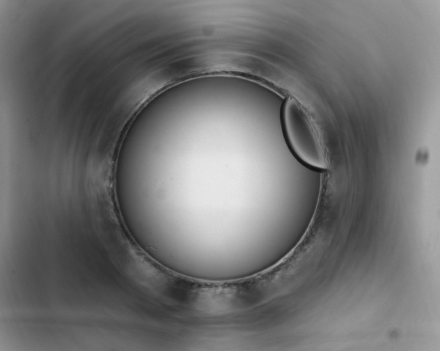 X0000103230793200808281429