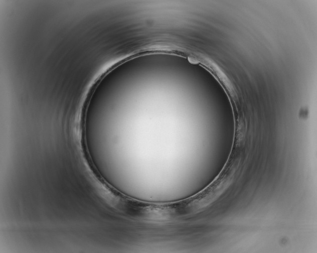 X0000103230795200808281429