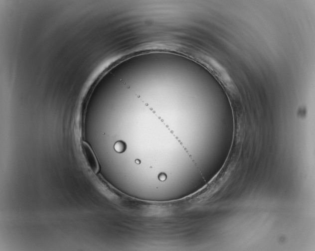 X0000103230796200808281429