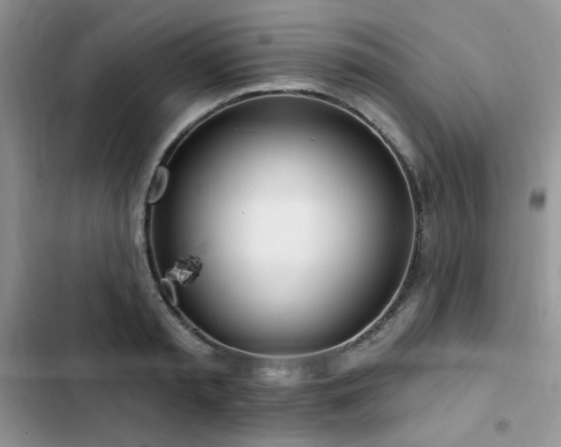 X0000103230797200808281429