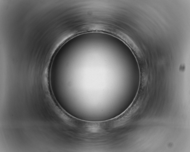 X0000103230798200808281429