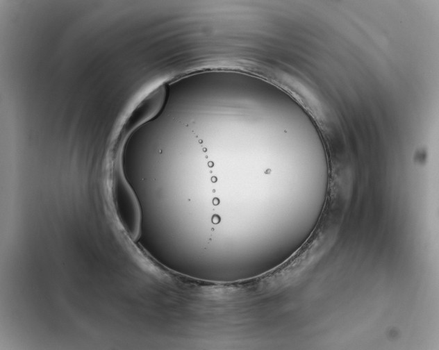 X0000103230804200808281429