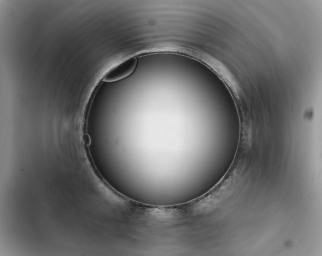 X0000103230805200808281429