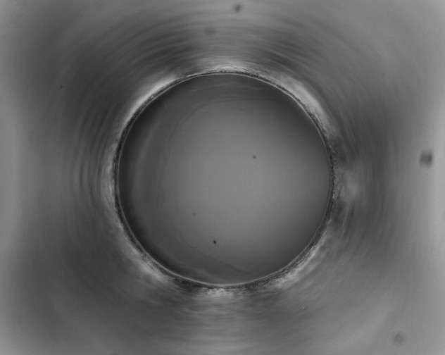 X0000103230806200808281429