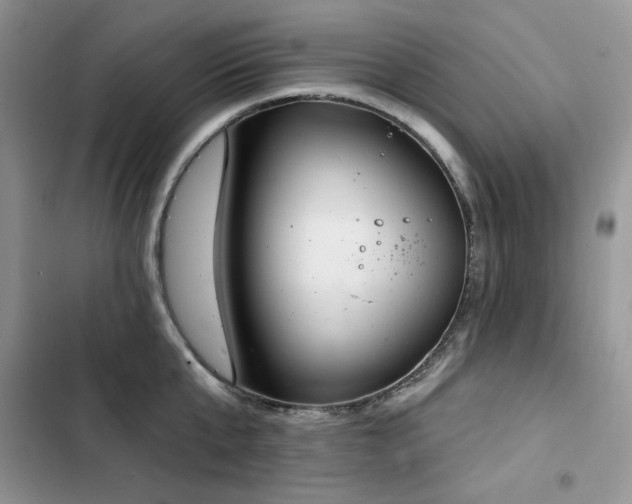 X0000103230807200808281429