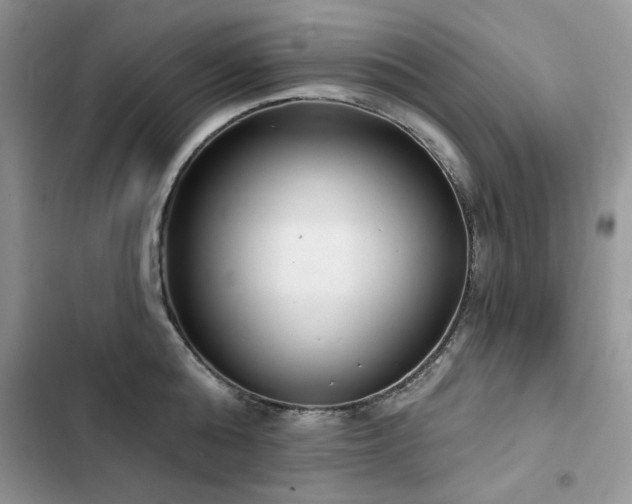 X0000103230808200808281429