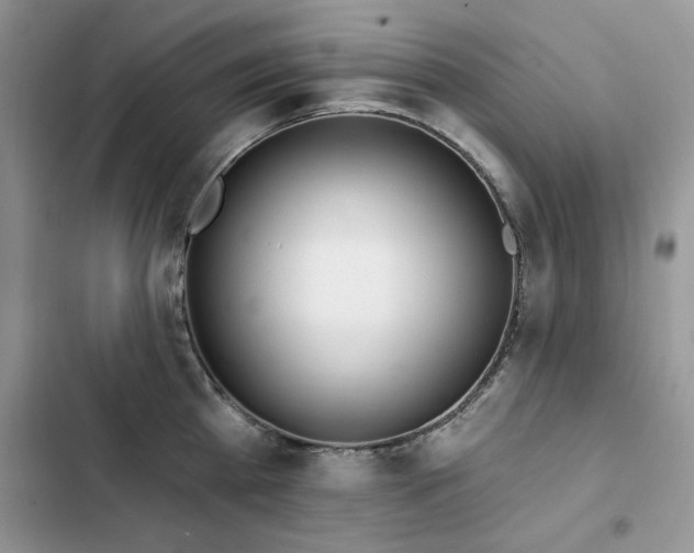 X0000103230809200808281429