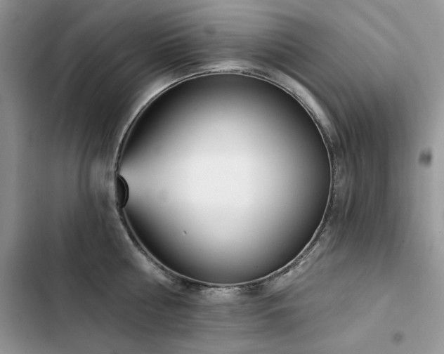 X0000103230810200808281429